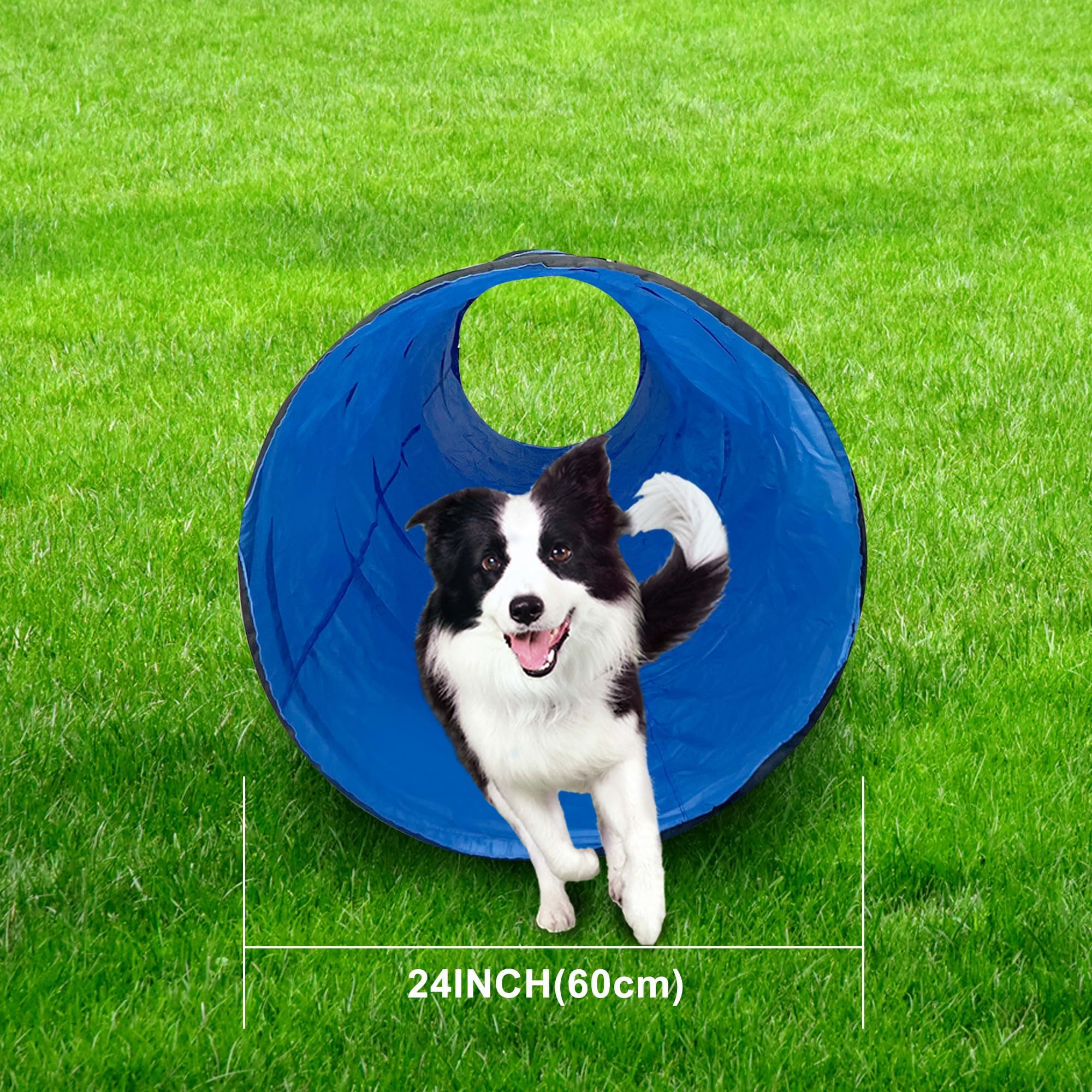 GeerDuo dog agility tunnel ground stakes ensure stable setups.