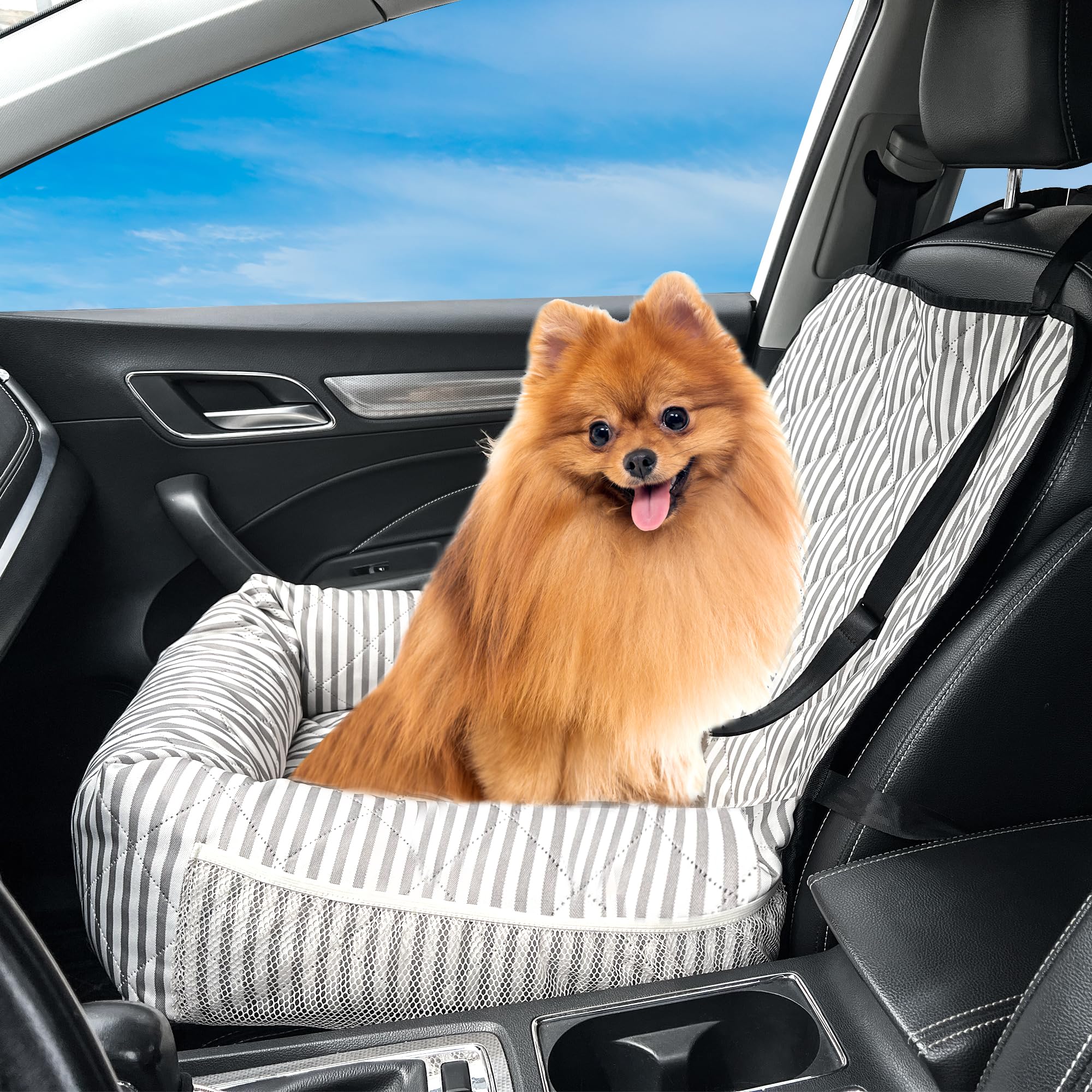 GeerDuo dog car seat in car with dog enjoying ride.