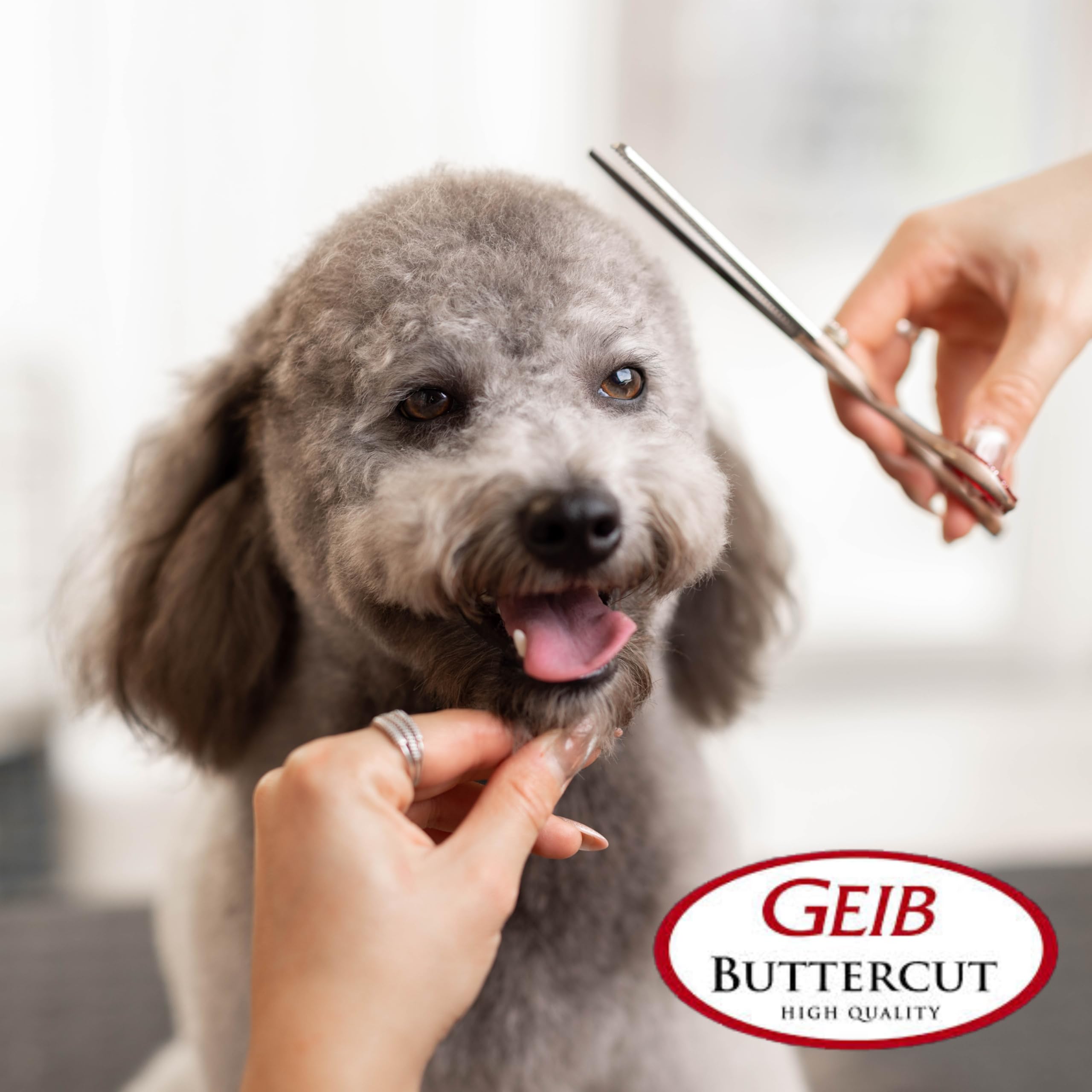 Geib Gator 8.5-inch pet grooming setup demonstrating efficient styling flow