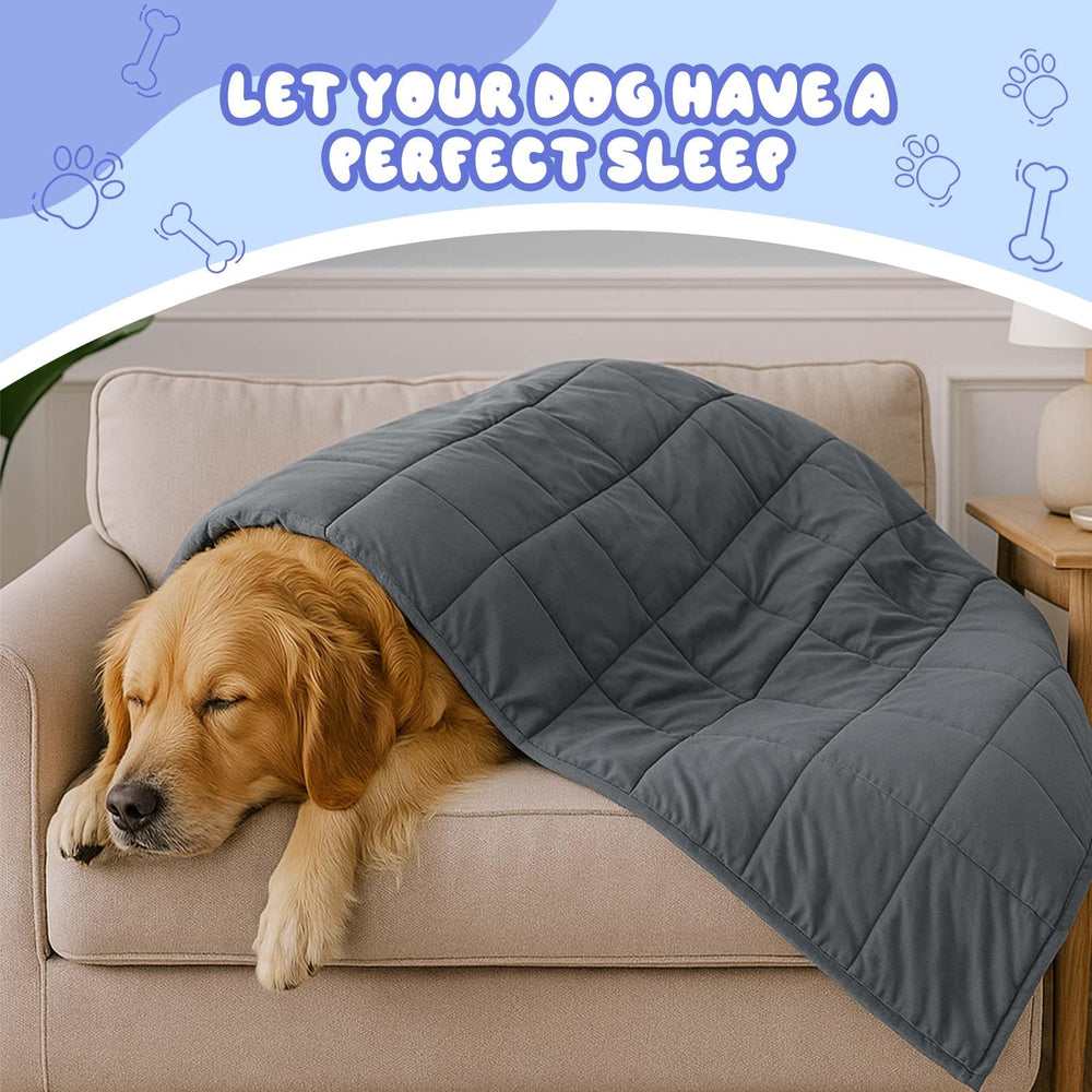 Geiserailie weighted dog blanket in gray complements home decor while calming pets