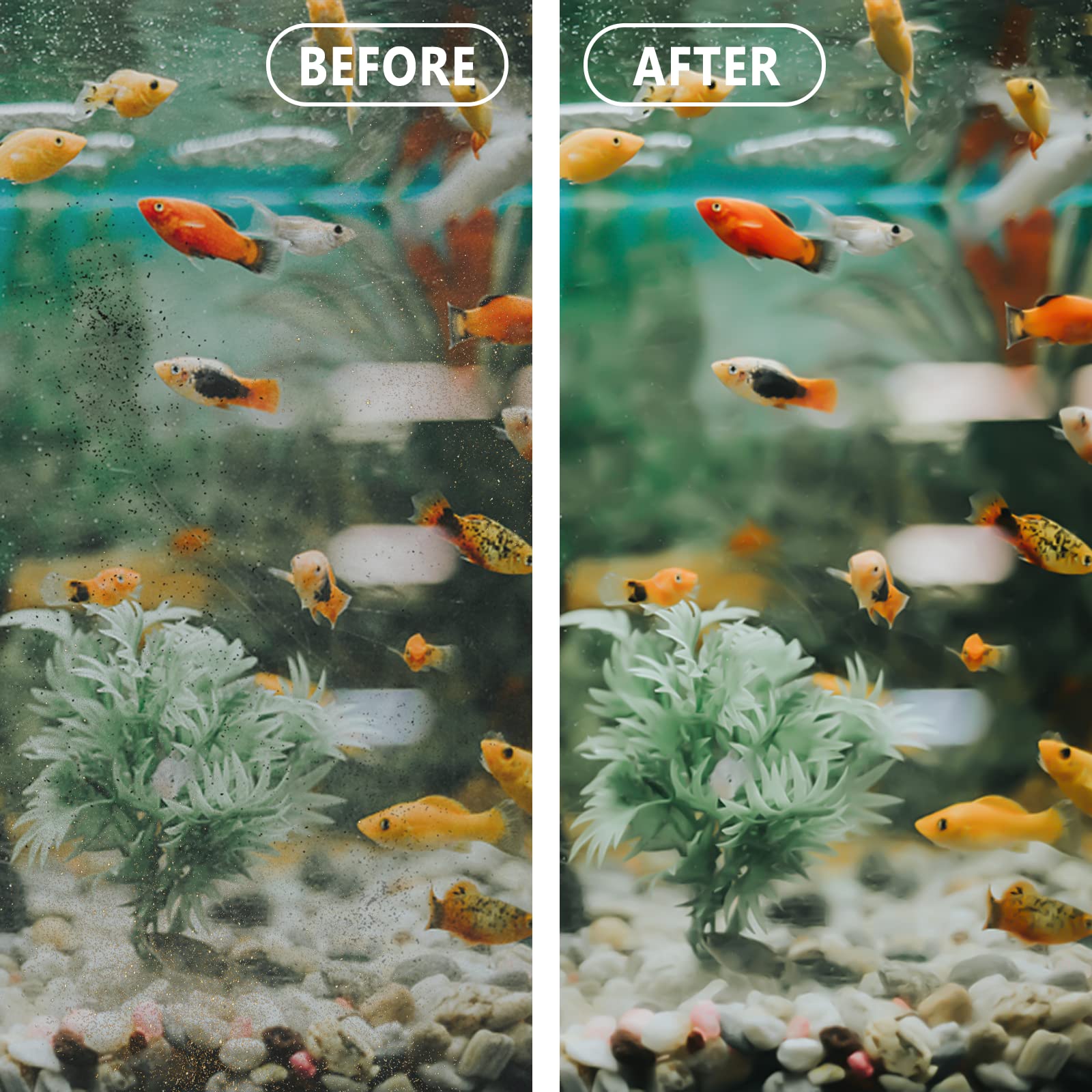 Gekufa odor-control filtration helps maintain a fresher tank scent.