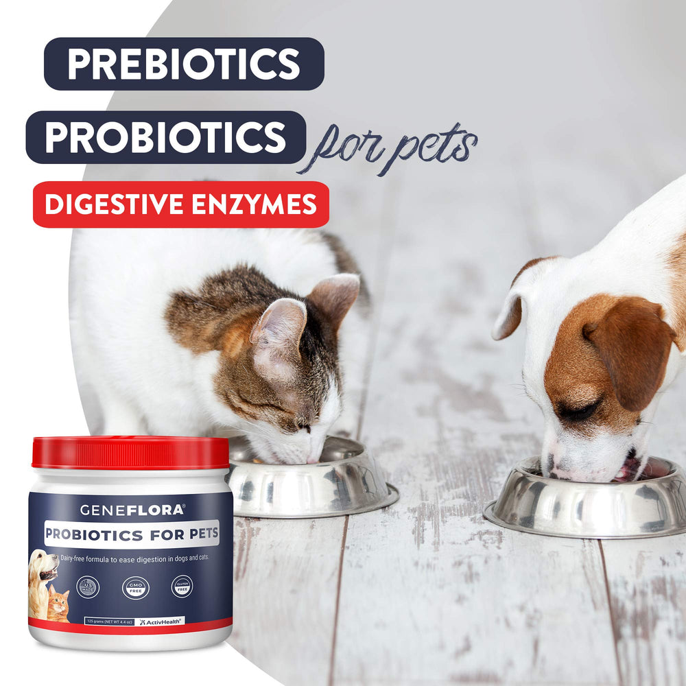 Geneflora probiotic powder with dog and cat silhouettes suggests multispecies support.