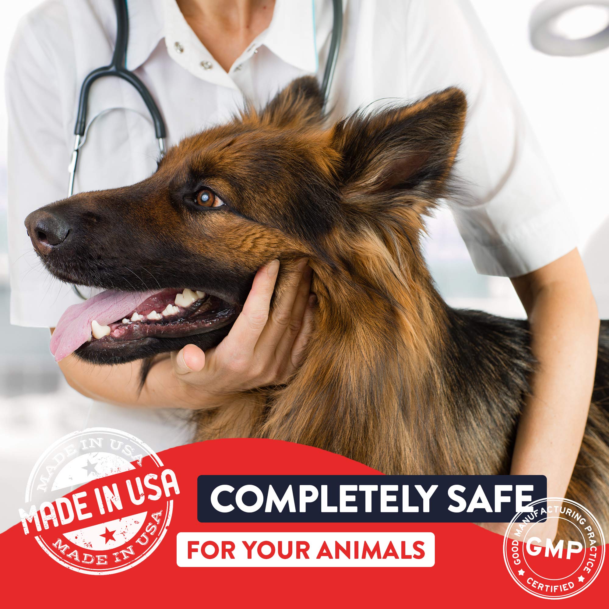 Geneflora pet probiotics bottle on shelf highlights convenient daily supplementation.