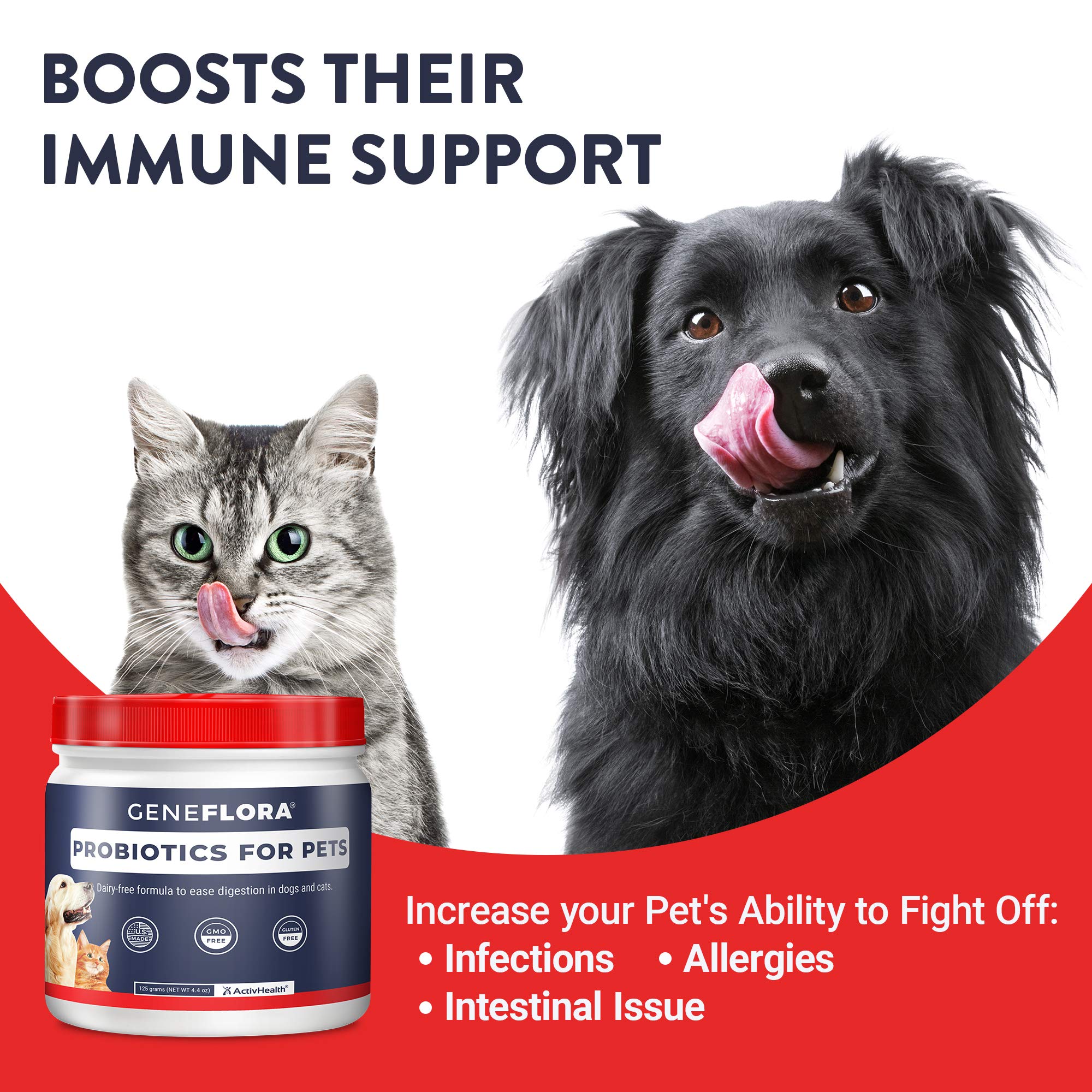 Geneflora powder being sprinkled into pet food illustrates easy integration.