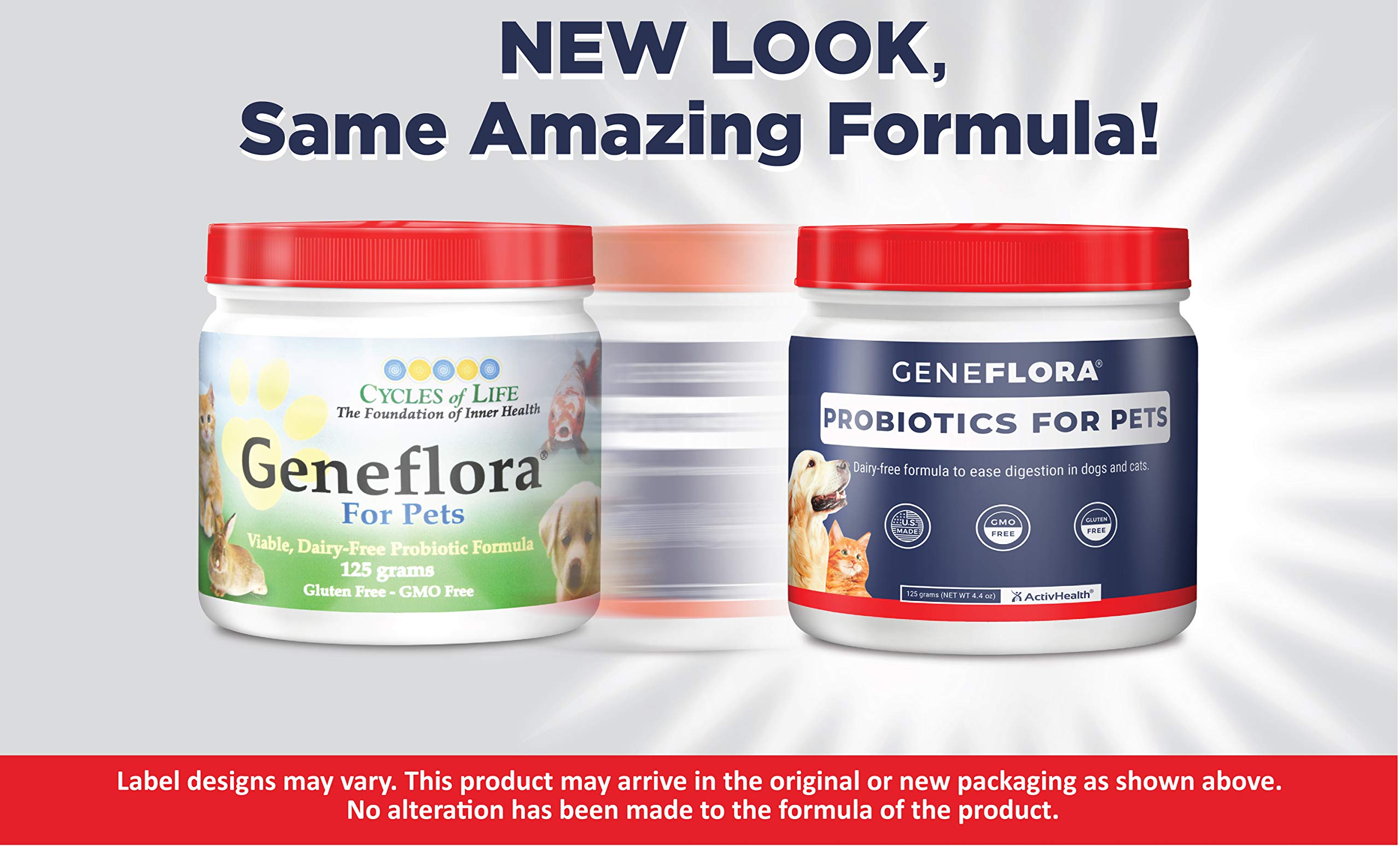 Geneflora powder probiotic with scoop demonstrates simple dosing for dogs and cats.