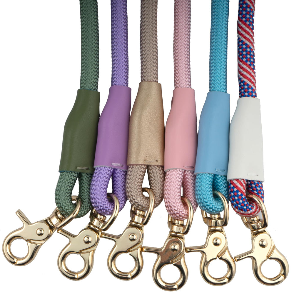 Generic 7ft Dog Leash for Daily Use captures length versatility for varied walking scenarios.