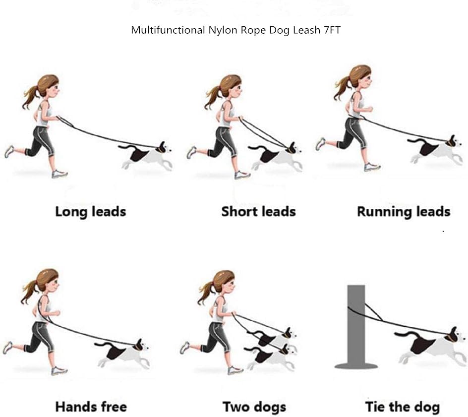 Generic Colorful Crossbody Leash Options add visibility and style to daily dog walks.