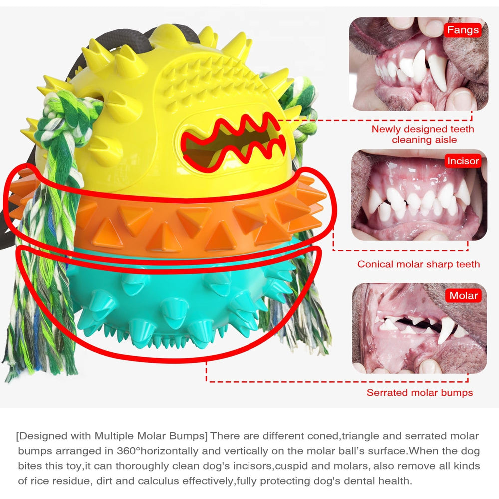 Generic dog toy BPA-free durable material ensures safe daily chewing