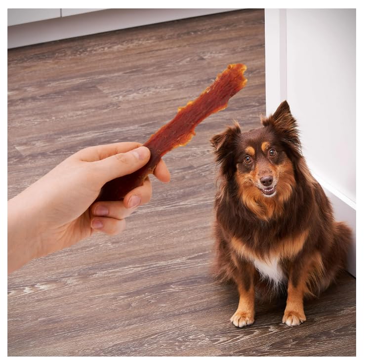 Close-up of duck jerky texture highlighting chewy strips dogs savor daily snacking.