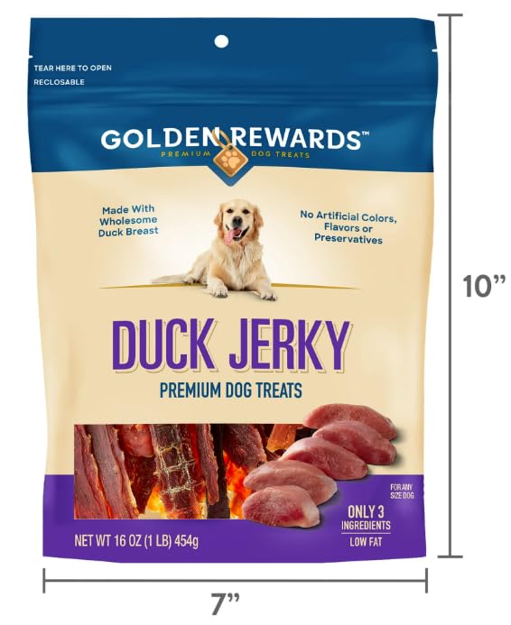 Dog happily chews rewards during playtime, reinforcing positive routines and happy mealtimes.