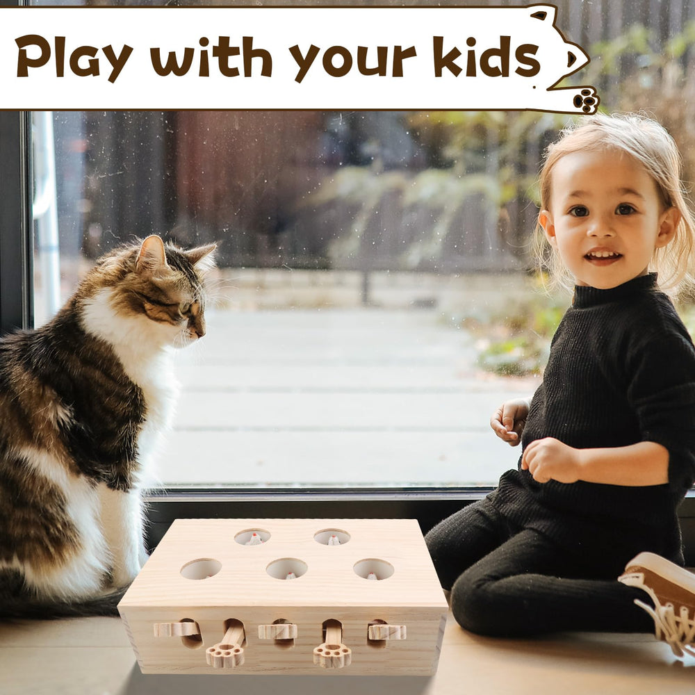 Generic indoor-outdoor cat toy boosts daily activity and mental stimulation