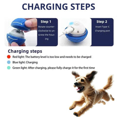 Generic Interactive Dog Ball blue charging icon demonstrates USB rechargeable feature.