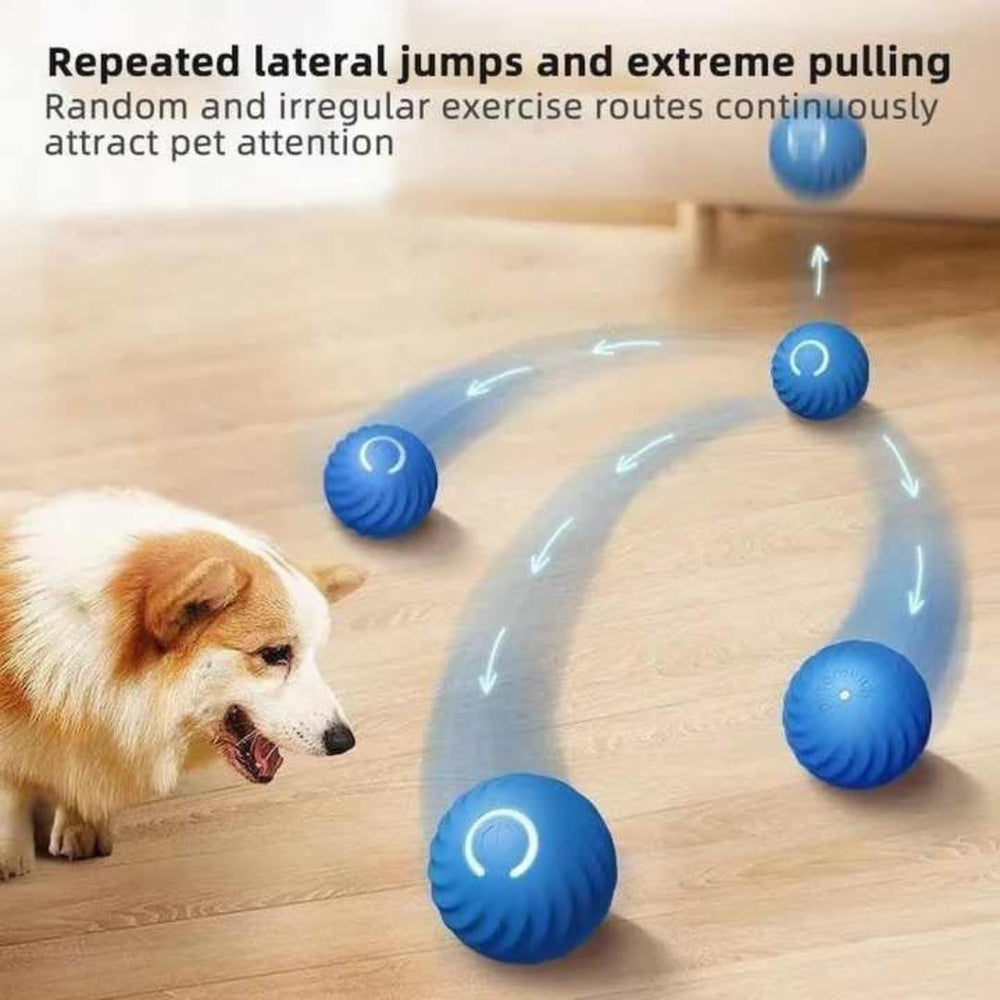 Generic Interactive Dog Ball blue ideal gift for dog owners seeking interactive entertainment.