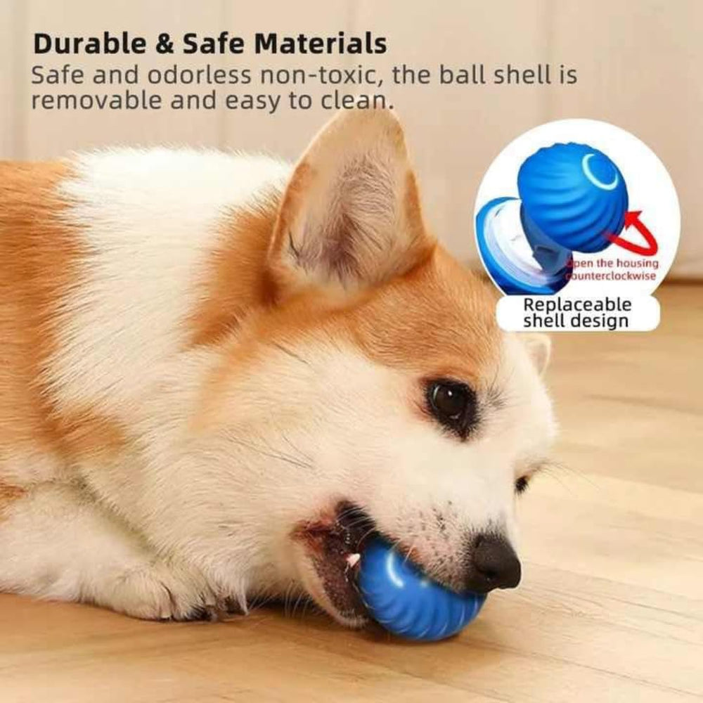 Generic Interactive Dog Ball blue normal mode explains auto-off after five minutes.