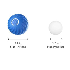 Generic Interactive Dog Ball blue side movement highlights unpredictable motion for active play.