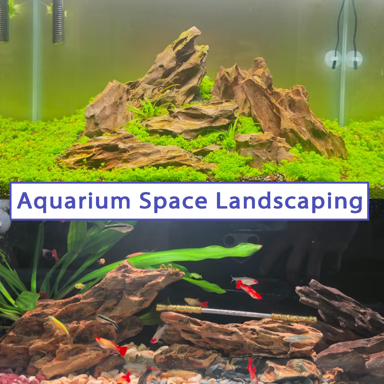 Generic Kecilke dragon stone natural texture enhances aquascaping and terrarium projects.