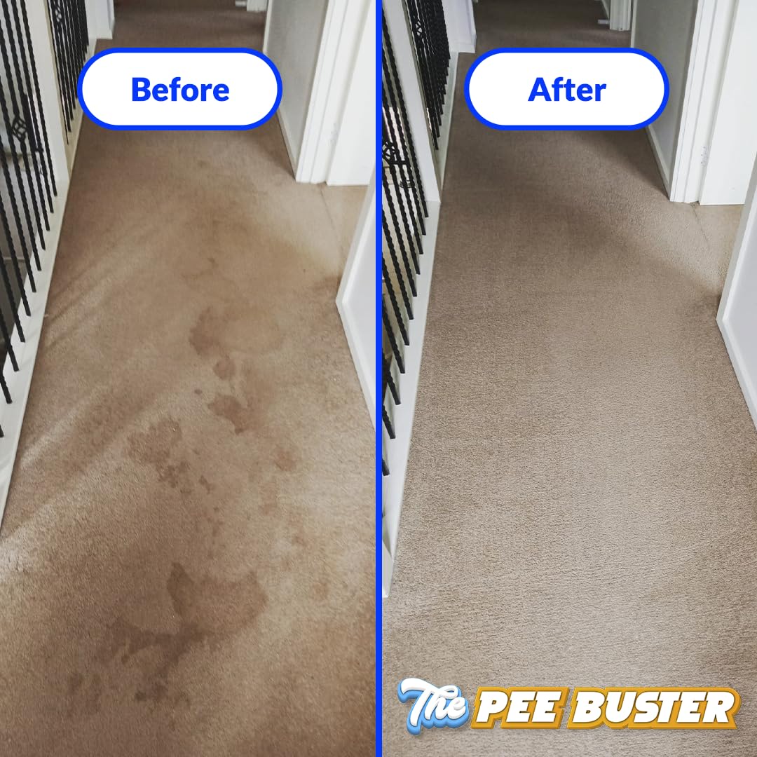 Generic Pee Buster refill bottle for repeat cleanups