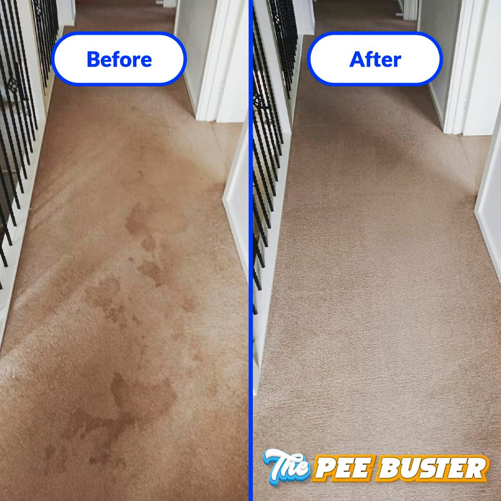 Generic Pee Buster refill bottle for repeat cleanups