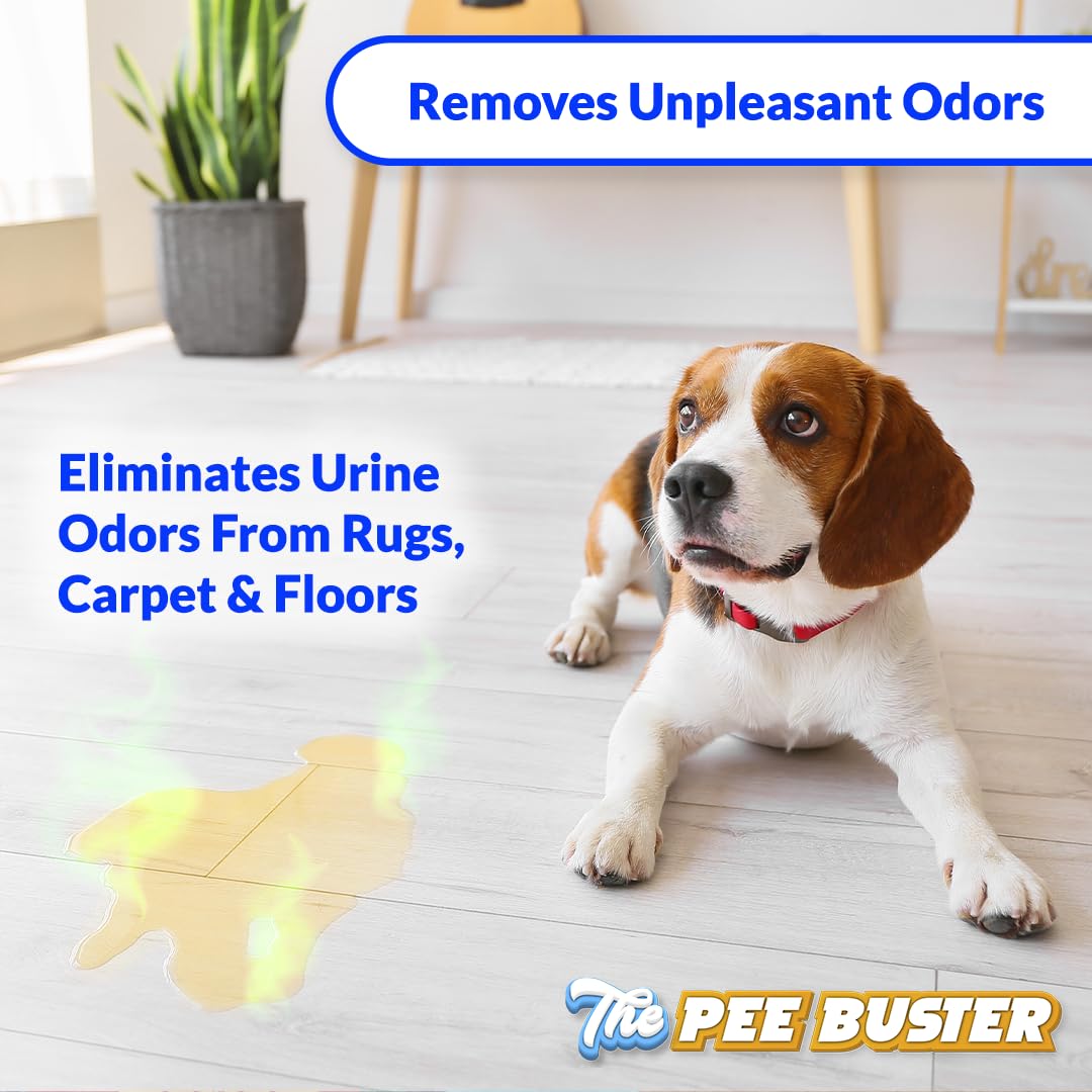 Generic Pee Buster spray application on carpet for stain lift