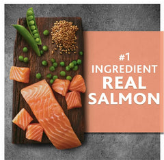 Generic Pure Balance salmon-ingredient showing real salmon first