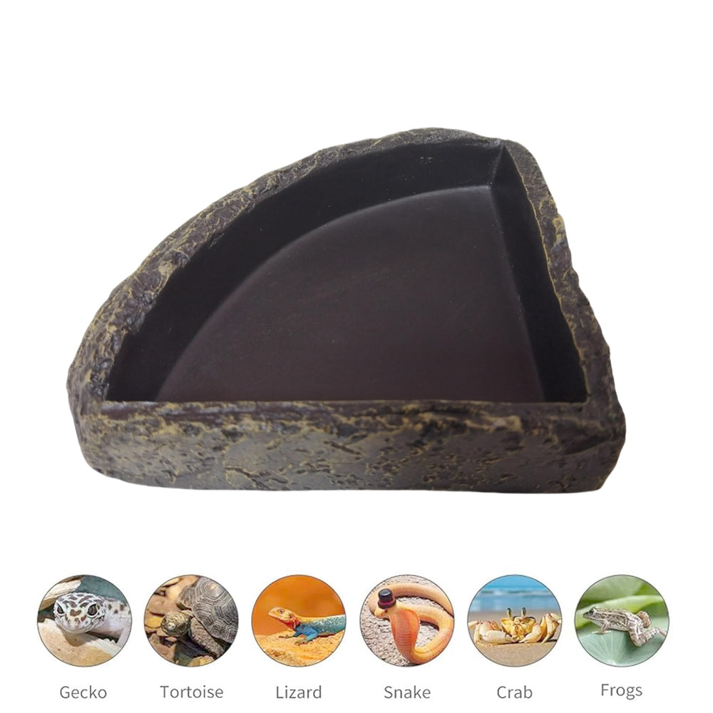 Generic Reptile Feeder Size image shows the 6.2 by 6.2 inch footprint.