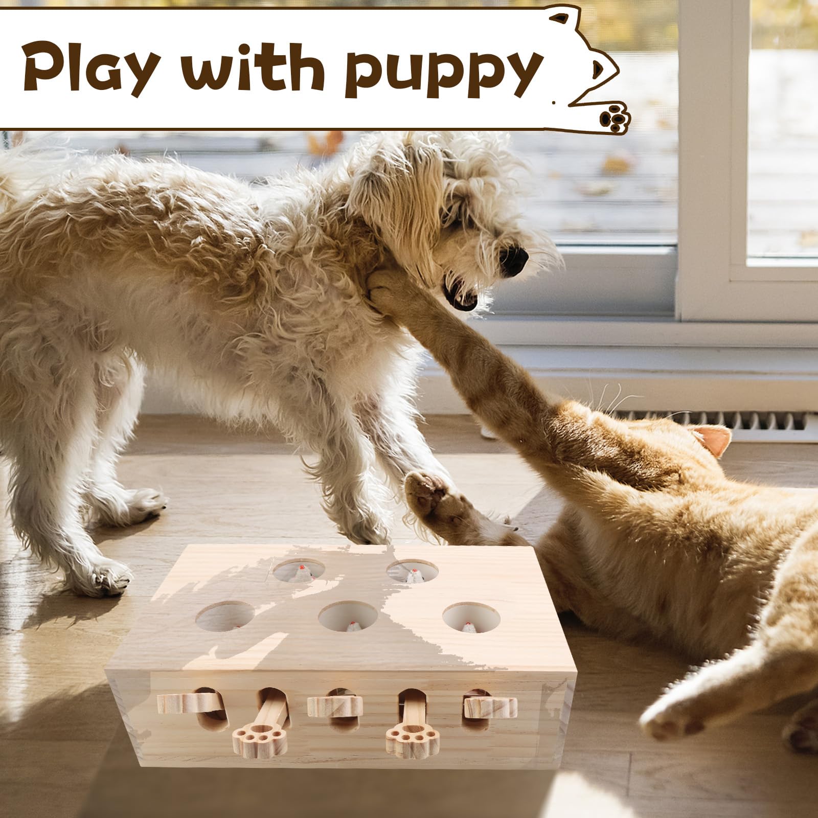 Generic safety-forward wood design supports long-lasting entertainment for curious felines