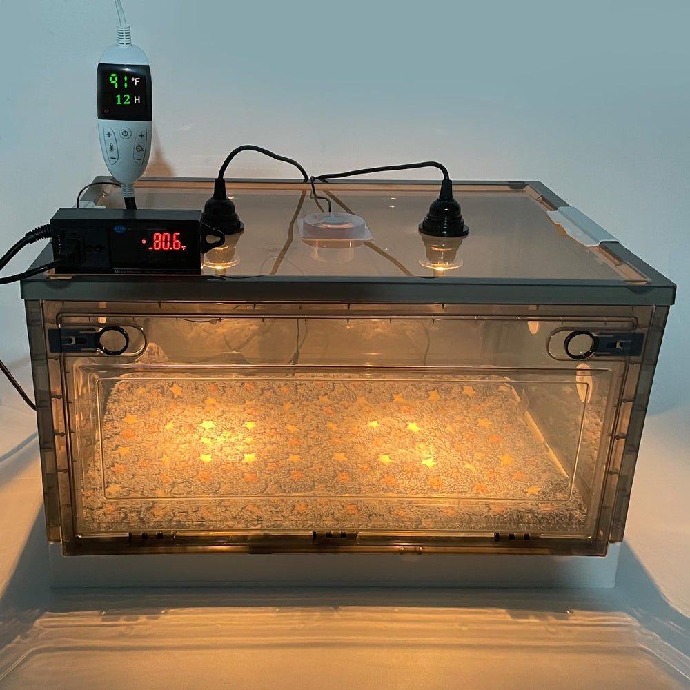 Geniprem Puppy Incubator semi-transparent panels let you monitor warmth without disturbance.