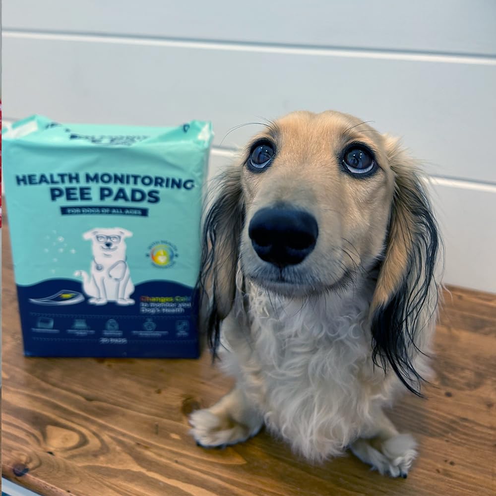 Genius Litter color-change pad supports easy, odor-free home care.