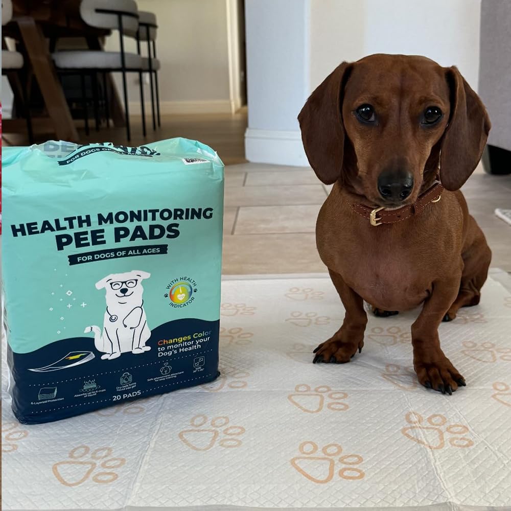 Genius Litter pack of 20 ensures continuous wellness monitoring supplies.
