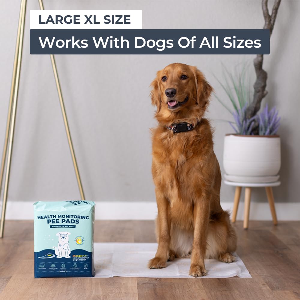 Genius Litter pheromone attractant aids in stress-free training sessions.