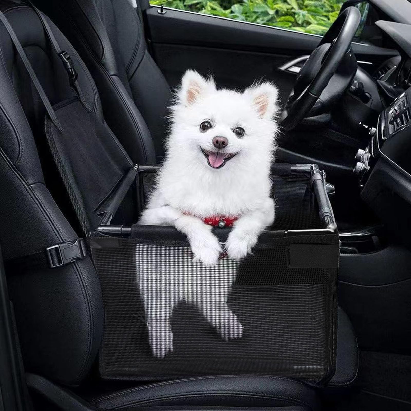 GENORTH small dog car seat front view—secure booster keeps pets up to 11 lbs snugly