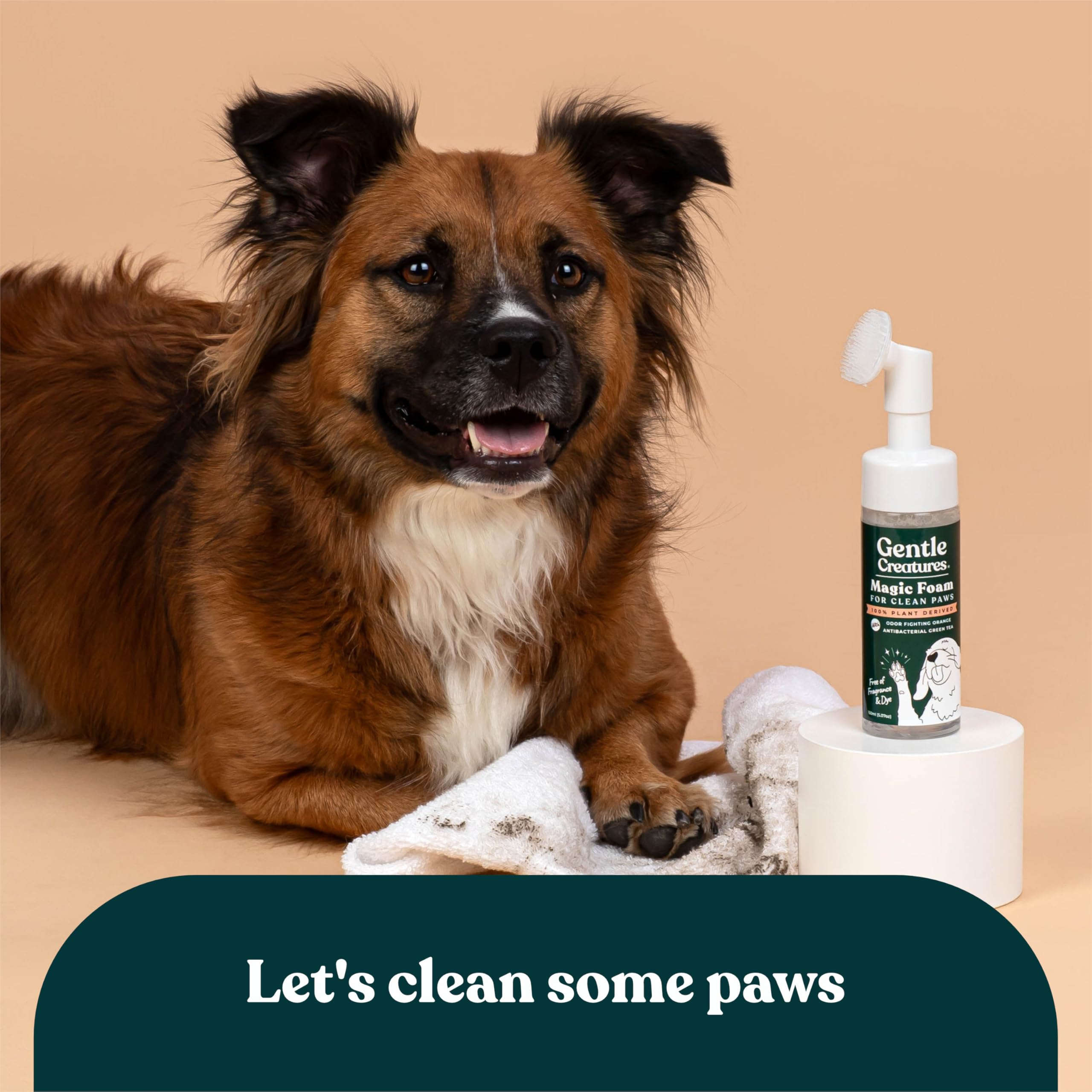 Gentle Creatures paw cleaning routine uses Magic Foam for clean paws after outdoor play.