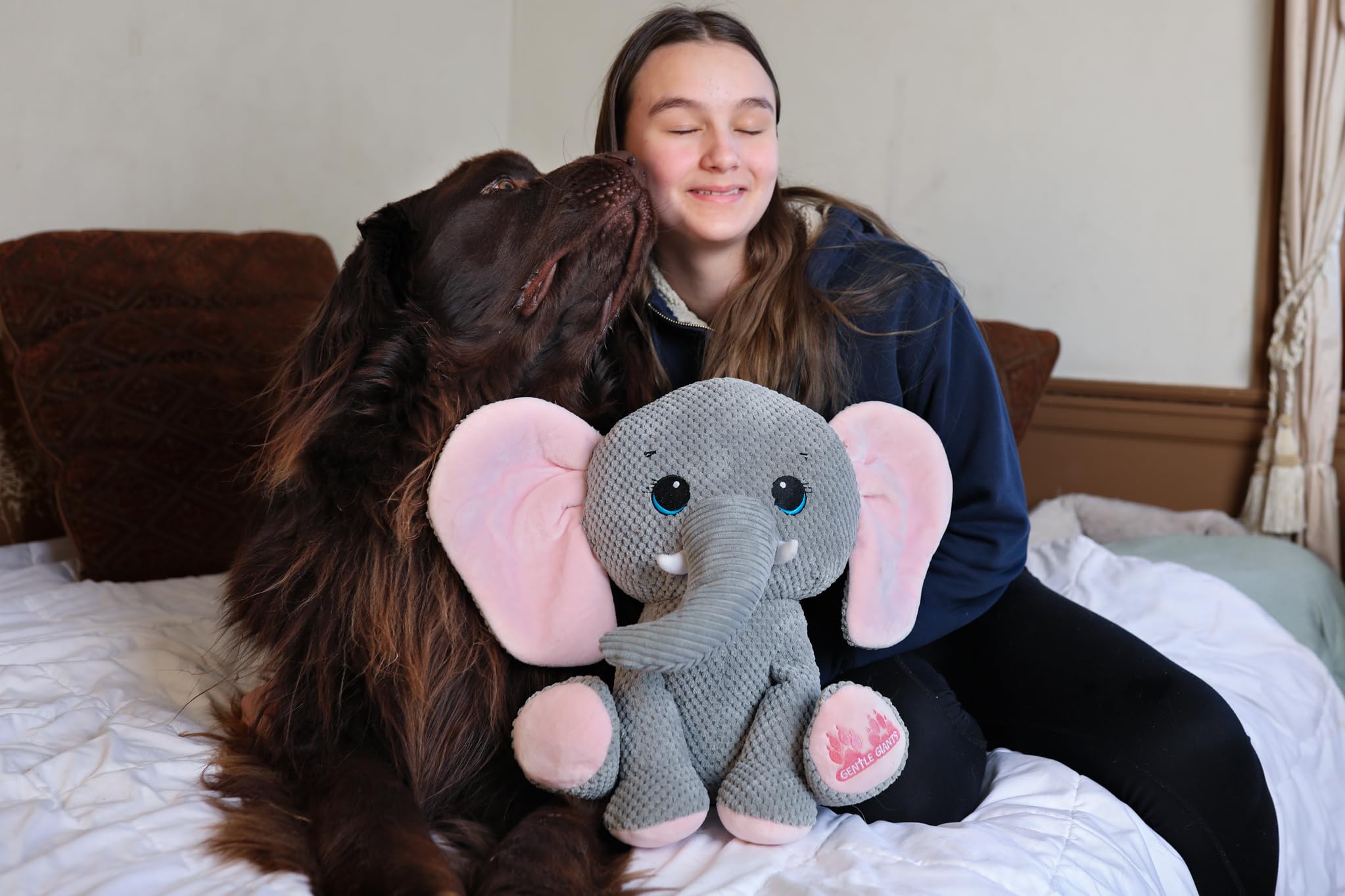Gentle Giants Plush Elephant Dog Toy no squeaker offers safe enrichment for dogs.