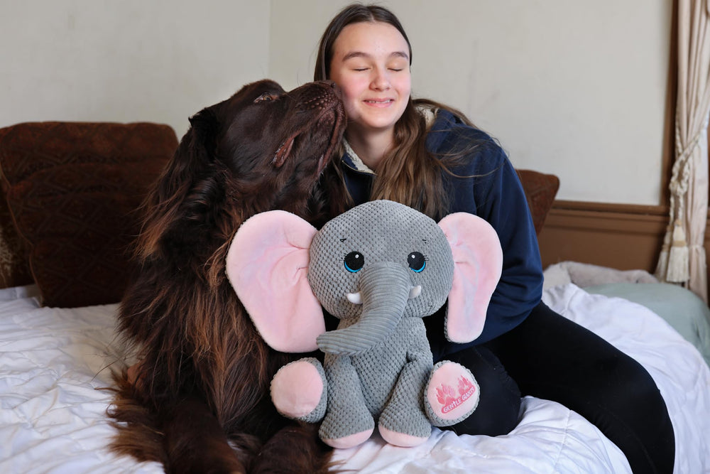 Gentle Giants Plush Elephant Dog Toy no squeaker offers safe enrichment for dogs.