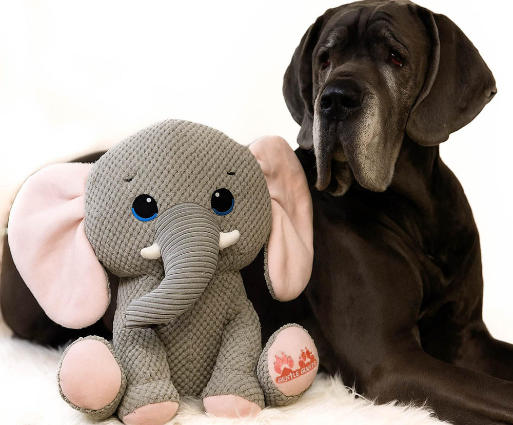 Gentle Giants Plush Elephant Dog Toy soft texture for cuddling and gentle play.