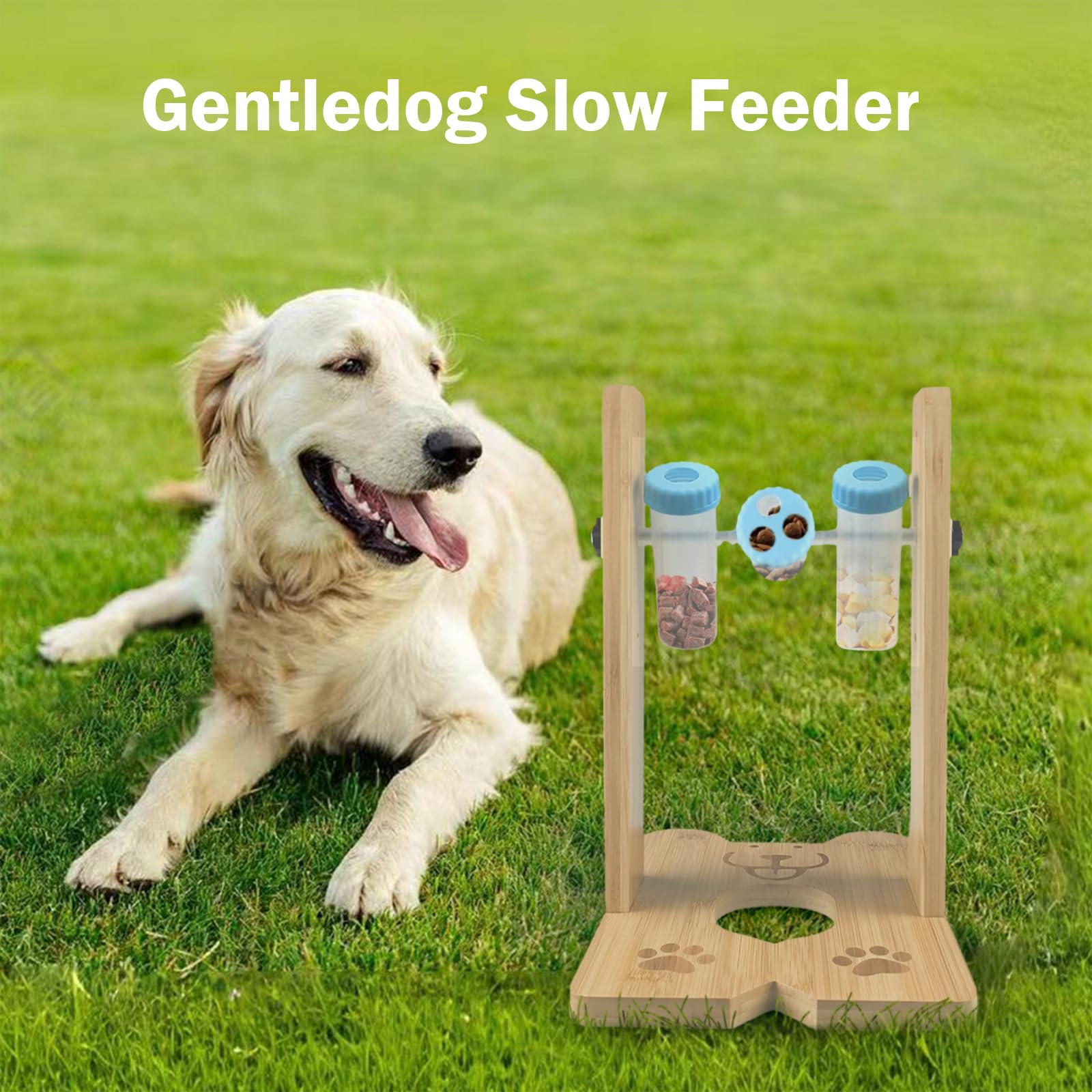 Gentledog mealtime interaction scene captures a dog engaged in treat-solving.