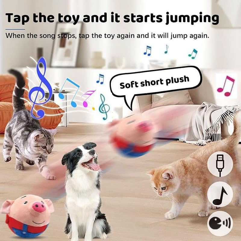 Geojec Interactive Dog Ball music mode shows two modes for stimulation.