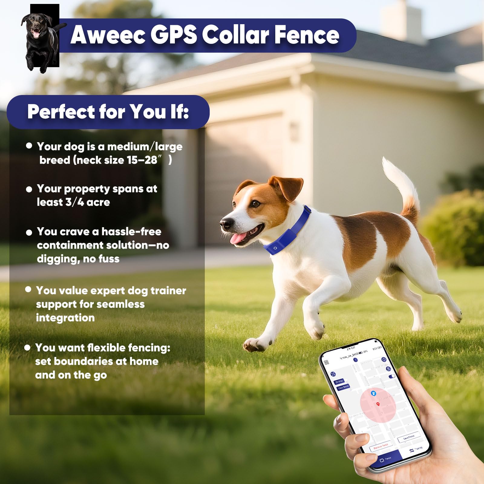 GeoPaws dog playing outdoors within the safe boundary.