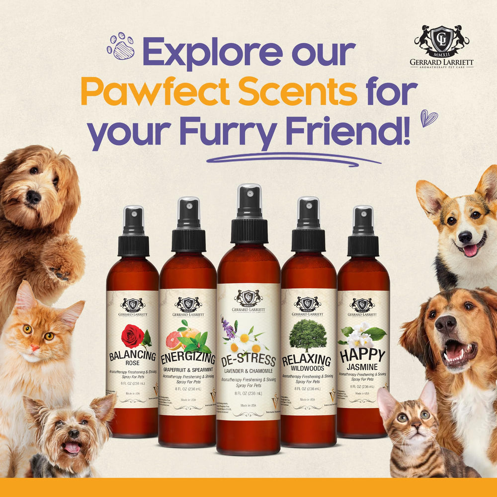 Perfume Gerrard Larriett para perros: uso diario