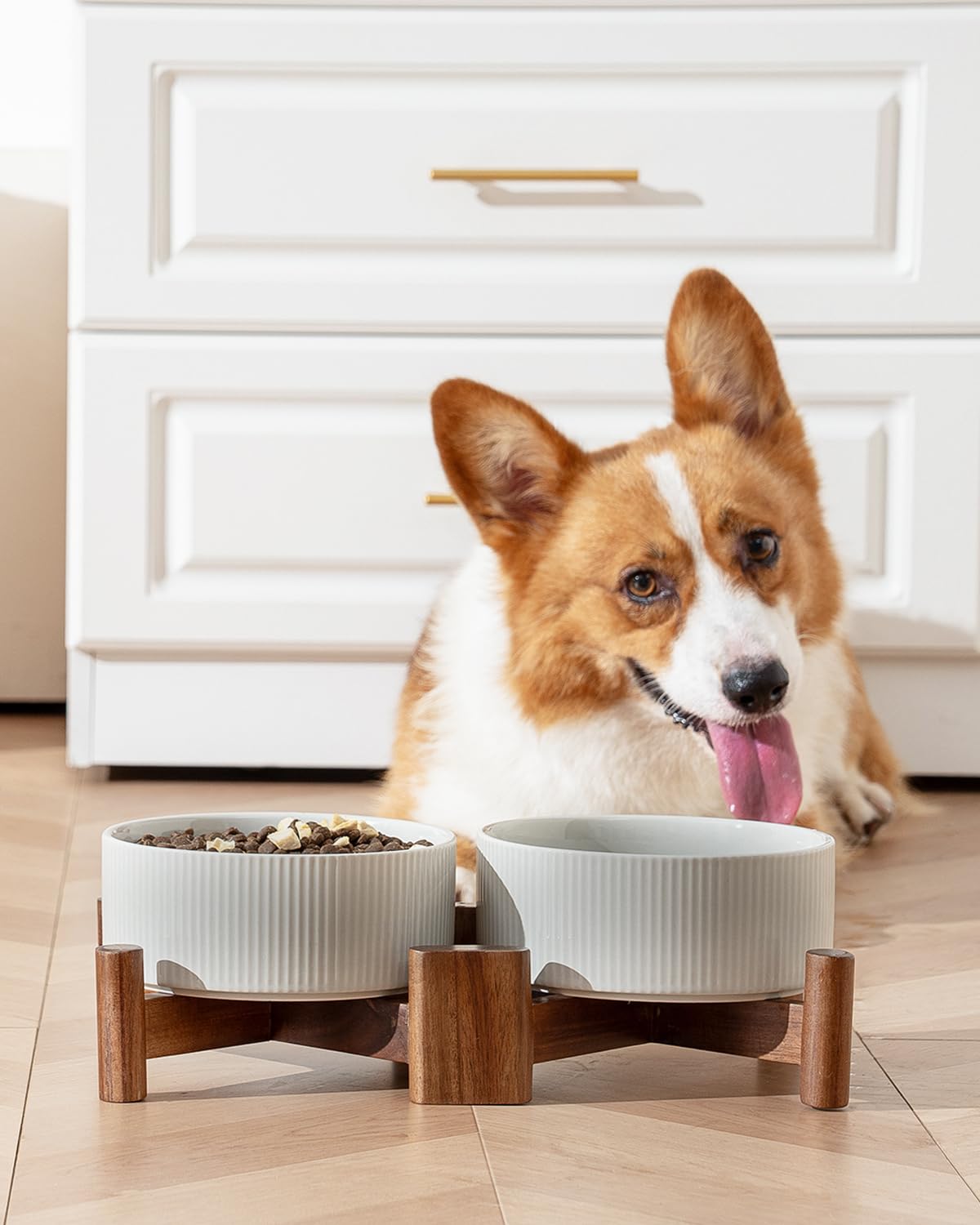 Getstar adjustable stand positions promote comfortable feeding heights for pets.