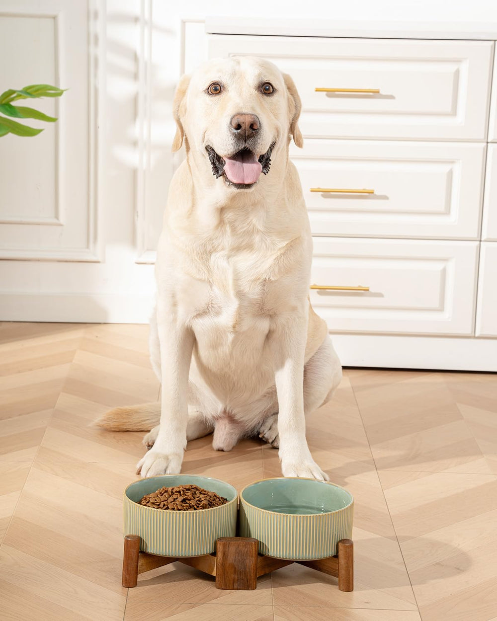 Getstar ceramic bowls use non-toxic glaze for safe dining.
