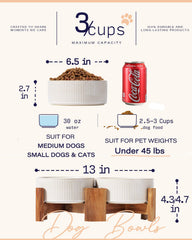 Getstar set of 2 bowls provides convenient portioning for daily meals.