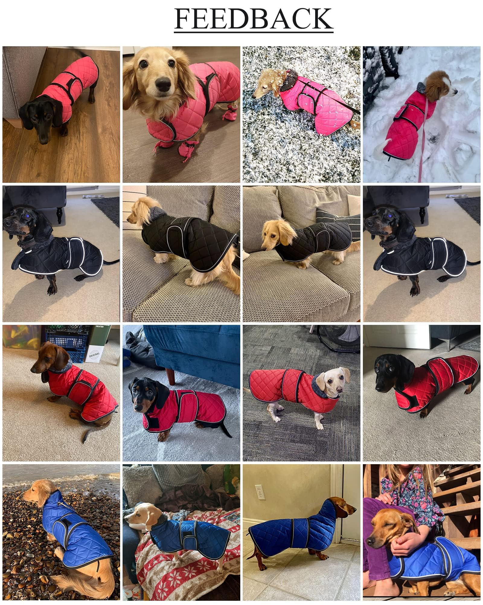 Geyecete dachshund coat offers easy cleaning with wipe-clean surface.