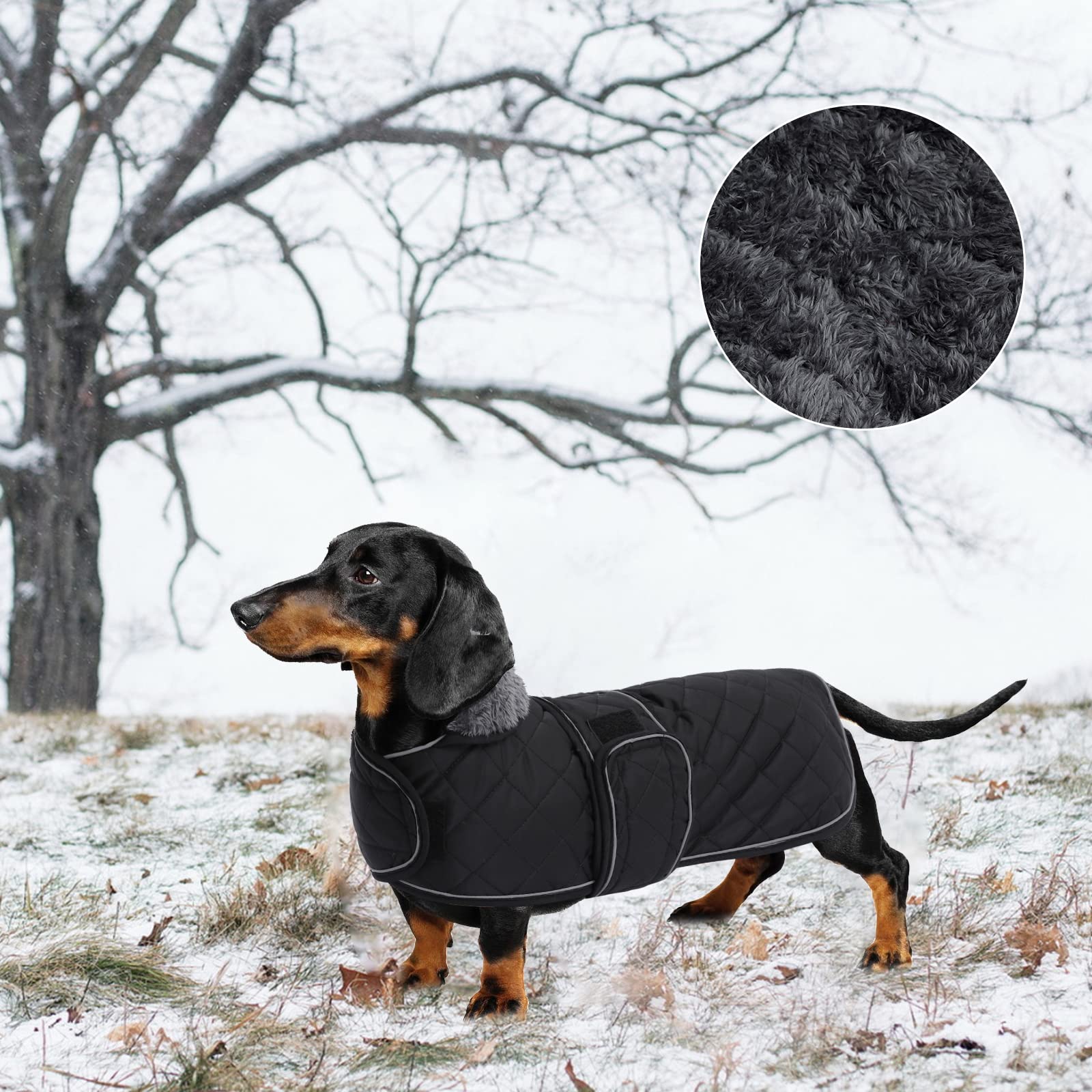 Geyecete dachshund coat lead slot and fold-down neck detail