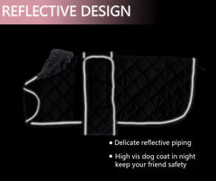 Geyecete dachshund coat with reflective piping for visibility