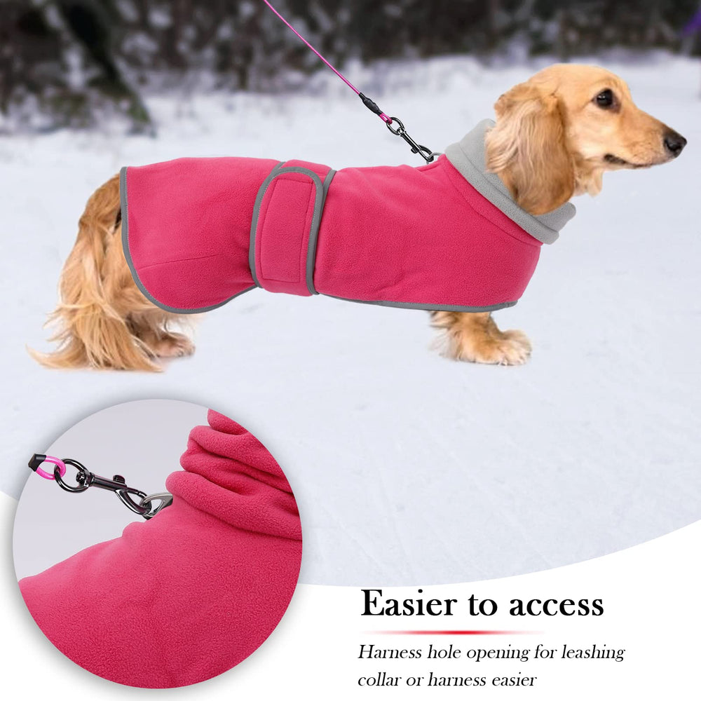 Geyecete dachshund coat reflective piping improves visibility in low light