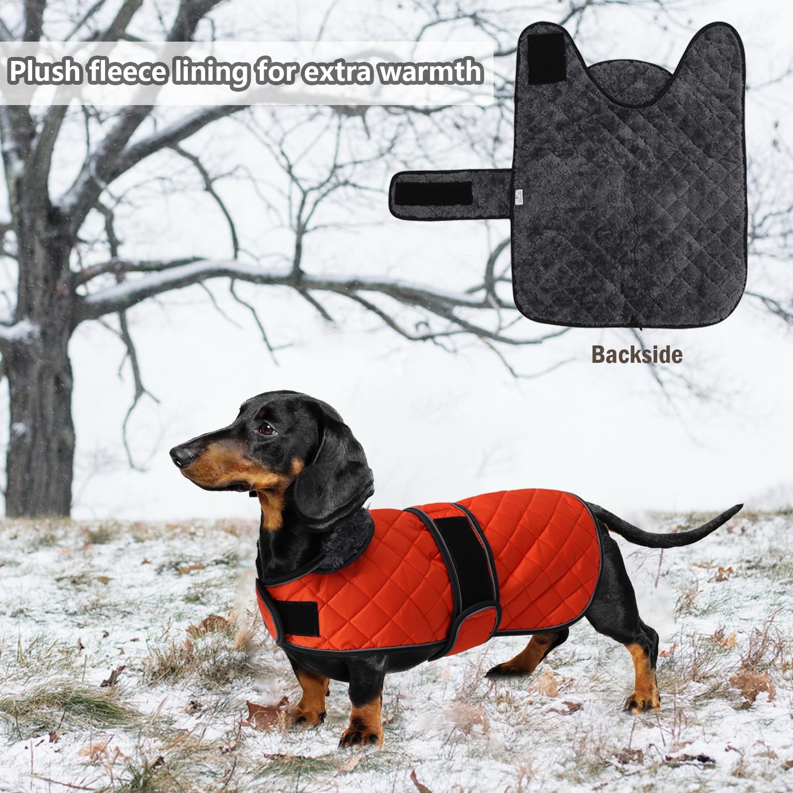 Geyecete warm fleece lining keeps dogs cozy on cold walks.