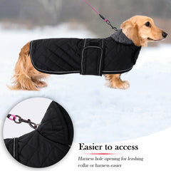 Geyecete waterproof dachshund coat close-up showing wind protection