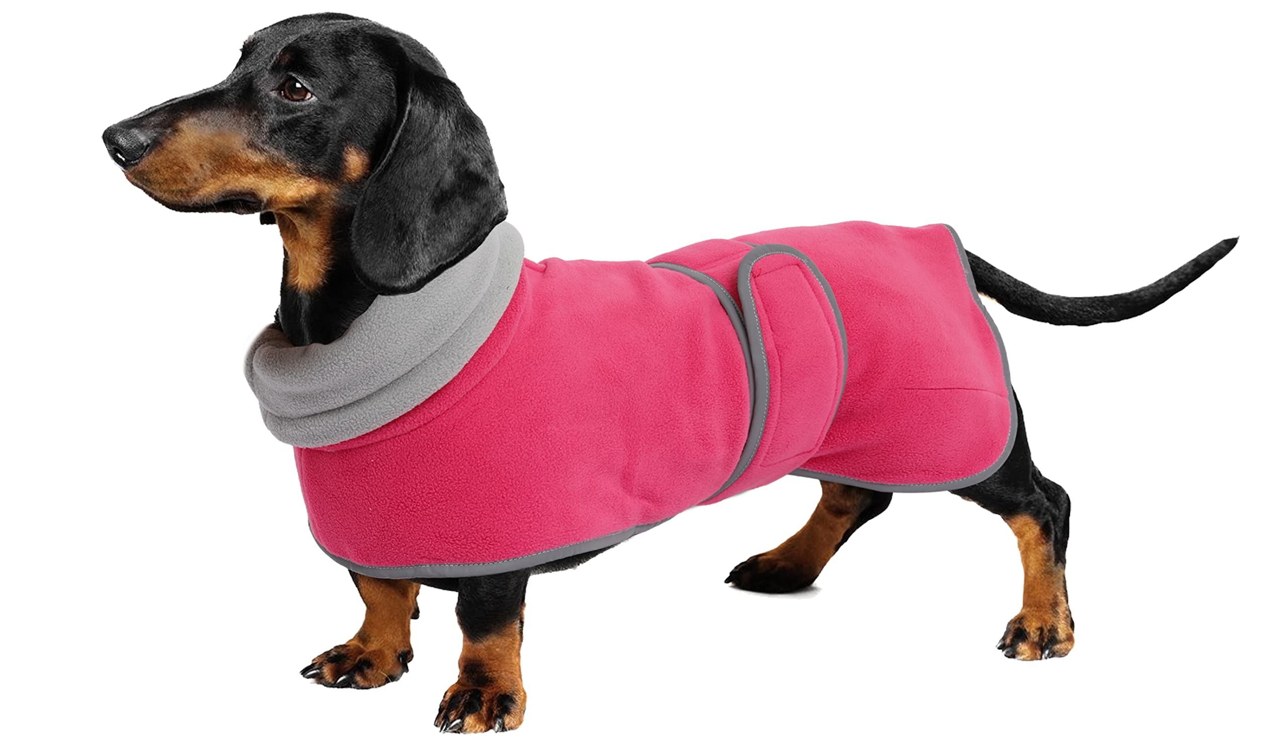 Geyecete dachshund coat waterproof fabric keeps your dog dry on walks