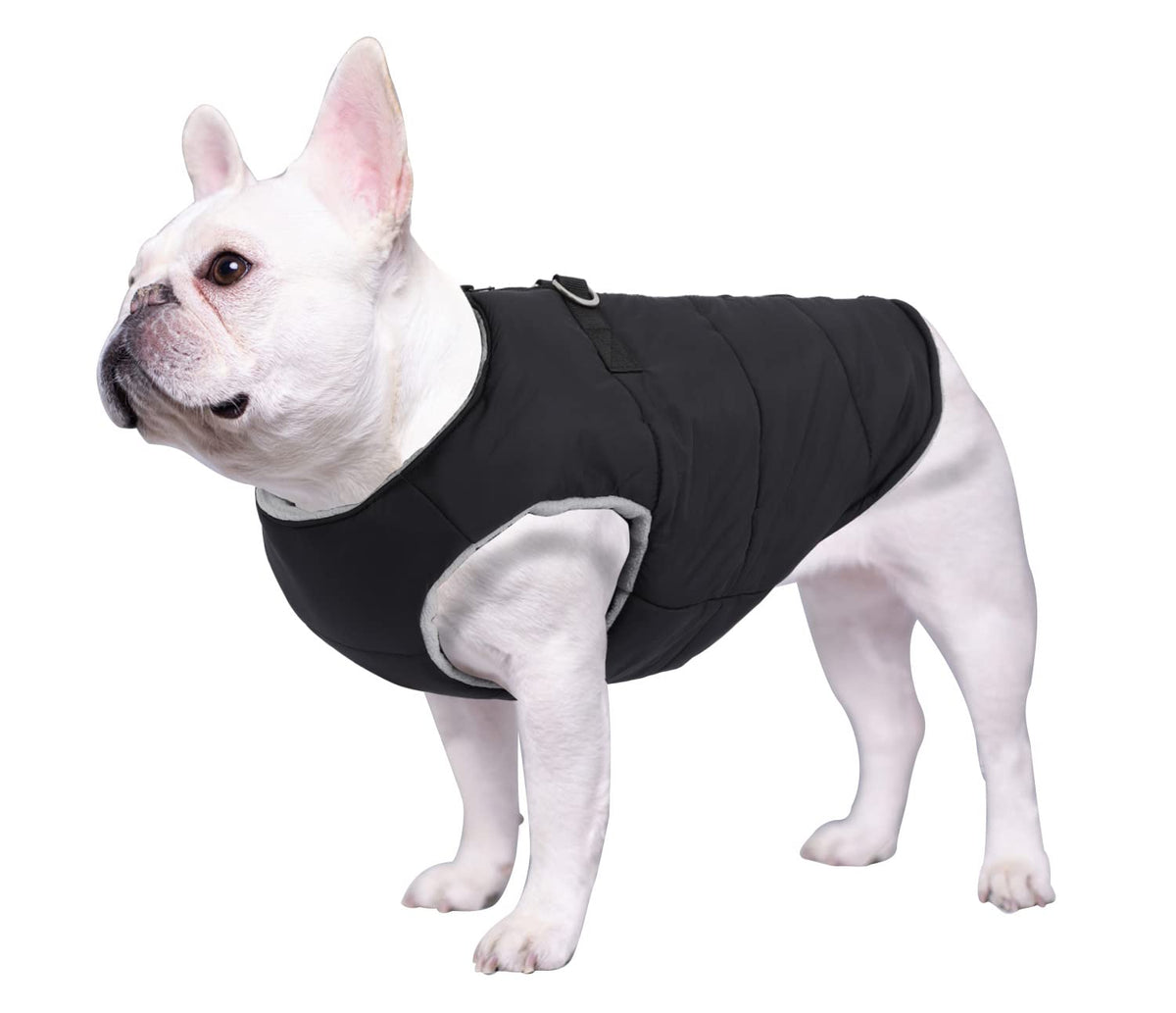 Geyecete padded front view dog coat offers warm lightweight protection